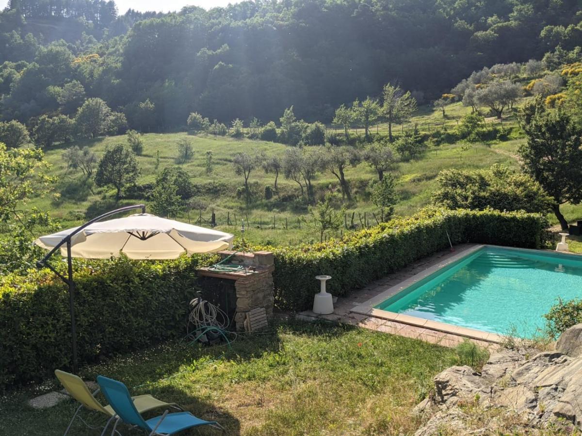 Agriturismo Casentino - Fattoria Ventrina Martina Exterior foto